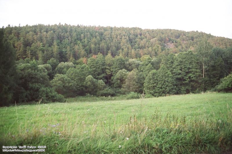 Fotografie Vrch Vystrkov, Jince: Vrch Vystrkov u Jinc�, Vrch Vystrkov u Jinc�