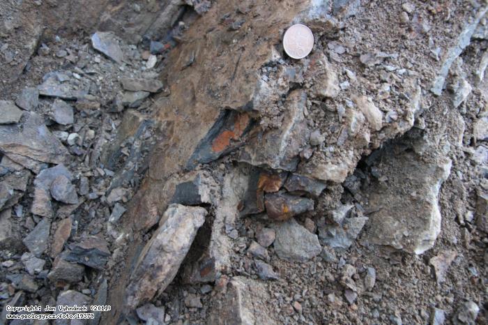 Fotografie Zahoansk stratotyp - vkop: Vrstva s jablovci a hlava trilobita Dalmanitina proeva - Zahoansk stratotyp - vkop, Zahoansk stratotyp
