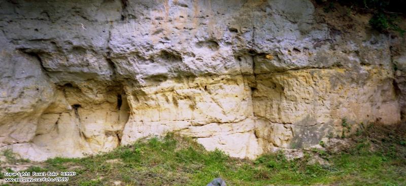 Fotografie Červené Pečky: Křídové cenomanské pískovce s hojnými zkamenělinami ústřic u Červených Peček, Červené Pečky