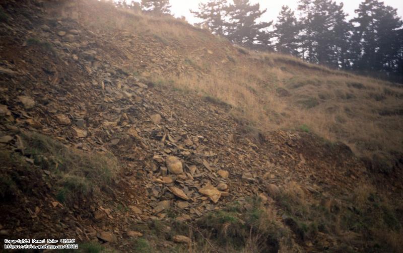 Fotografie Lom Kosov: Lom Kosov u Berouna, Lom Kosov u Berouna
