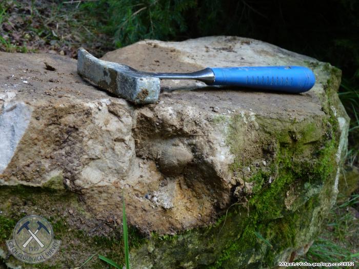 Fotografie Bartoovice - psnk: Bartoovice - psnk pod Pednm vrchem, Bartoovice - psnk pod Pednm vrchem