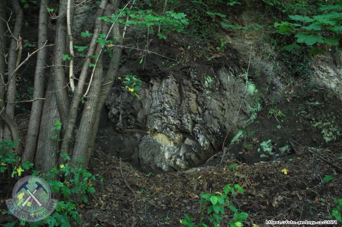 Fotografie Vchozy Landeka: Vchozy uhlonosnch vrstev karbonu hornoslezsk pnve, Landek