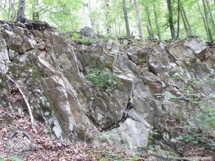 Photo : symmetric syncline in limestone, Vpencov lom pod Alexandrovou rozhlednou
