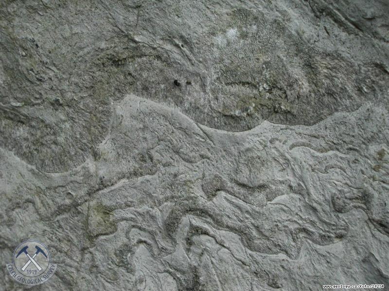 Photo : Styloliths, Hranice-obora