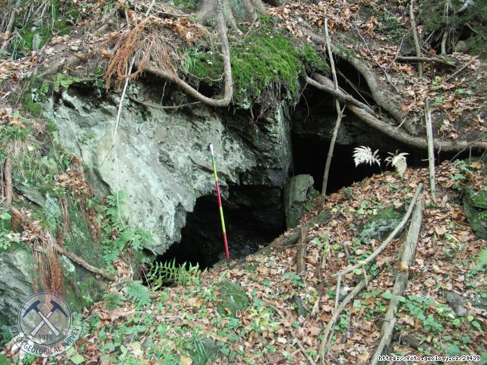 Fotografie Rejvz - dl Brutus: Rejvz - dl Brutus, Rejvz - dl Brutus