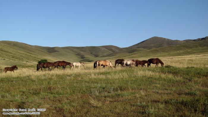 Fotografie Khushig uul: Vrchol Khushig uul, centrln Mongolsko, Luun