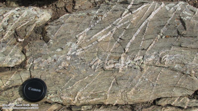 Fotografie K�emenn� �ilky: K�emenn� �ilky v spodnopaleozoick�ch b�idlic�ch, Mongolsko, Ugalzat uul