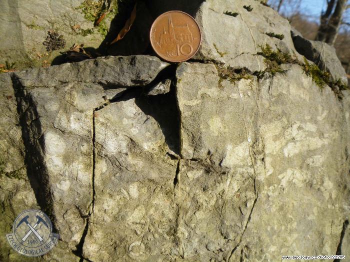 Photo limestone: fosiliferous Sloup Limestone Member, BO174