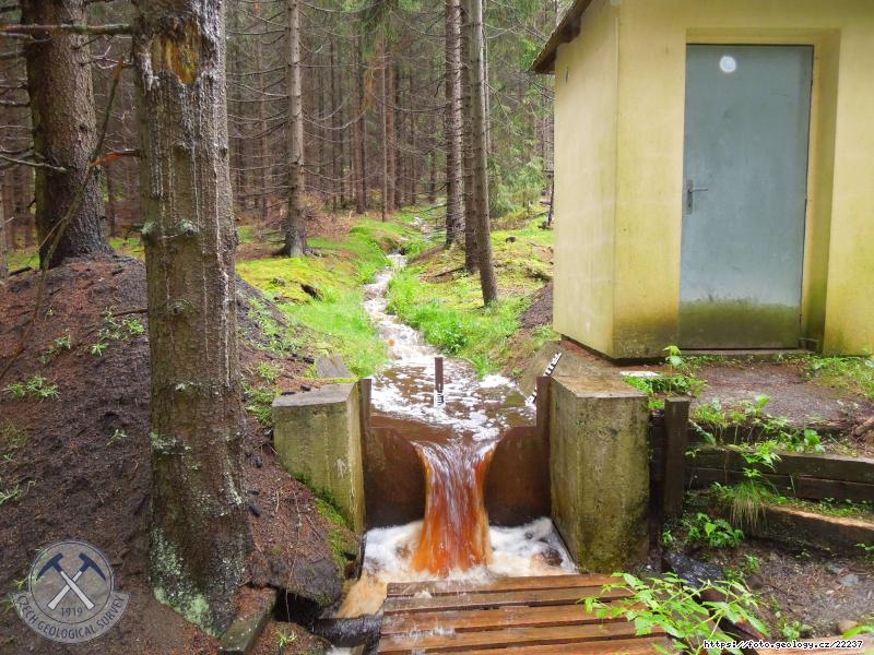 Fotografie M�rn� p�eliv �GS - povod� Pluh�v bor: M�rn� p�eliv �esk� geologick� slu�by na hadcov�m povod� Pluh�v bor ve Slavkovsk�m lese, Povod� Pluh�v bor, Slavkovsk� les