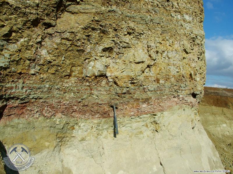 Photo sandstone, siltstone: Malhotice Formation, Pliocene, pskovna Malhotice d.b. O-020