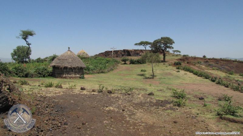 Fotografie : Struskov� ku�el, V�chodoafrick� rift