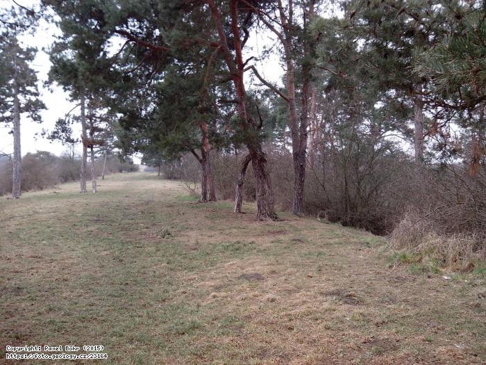 Fotografie Zahoansk stratotyp: Zahoansk stratotyp, Zahoansk stratotyp