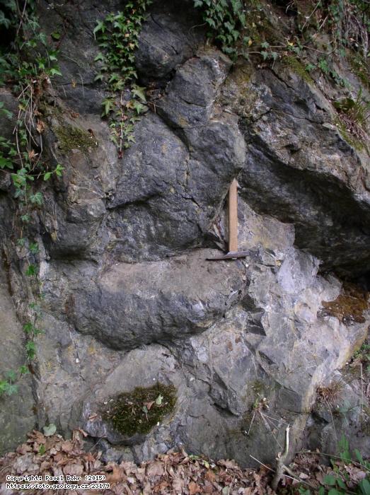 Fotografie Poltov lva: ertova skla - Poltov lva, ertova skla