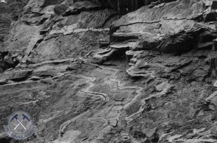 Fotografie Ptygmatiticky zvrásněné amfibolity : Letovické krystalinikum v údolí Křetinky západně od Bohuňova: ptygmaticky zvrásněné amfibolity s aplitickými injekcemi, Bohuňov u Hutí