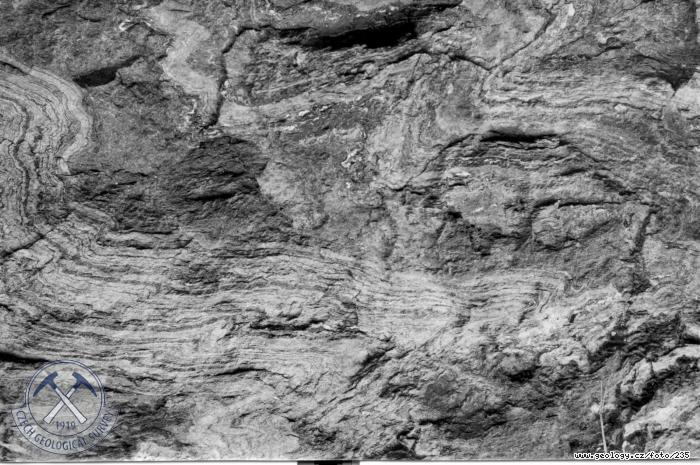 Fotografie Ptygmatiticky zvrásněné amfibolity: Údolí Křetinky západně od Bohuňova u Hutí. Letovické krystalinikum: ptygmaticky zvrásněné amfibolity s amplitickými injekcemi, Bohuňov u Hutí