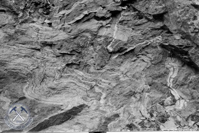 Fotografie Ptygmatiticky zvrásněné amfibolity : Letovické krystalinikum: ptygmaticky zvrásněné amfibolity s aplitickými injekcemi, v údolí Křetinky, Bohuňov u Hutí