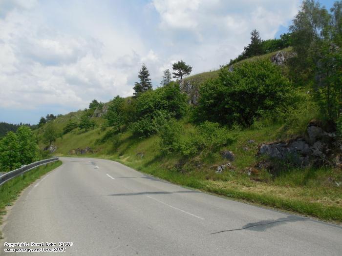 Photo Vilemovice limestone: Type locality of the Frasnian Vilemovice limestone, Zez silnice u Vilmovic