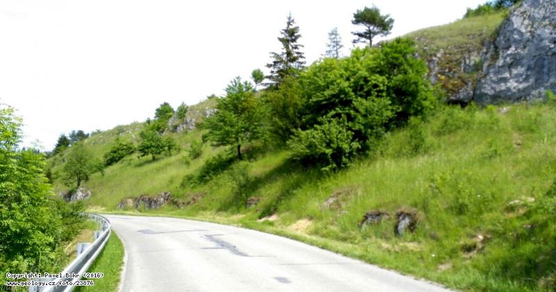 Fotografie Vilmovick vpence: Typov lokalita vilmovickch vpenc, Zez silnice u Vilmovic