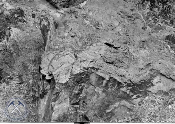 Fotografie Ptygmatiticky zvrásněné amfibolity : Údolí Křetinky západně od Bohuňova u Hutí. Letovické krystalinikum: ptygmaticky zvrásněné amfibolity s aplitickými injekcemi, Bohuňov u Hutí