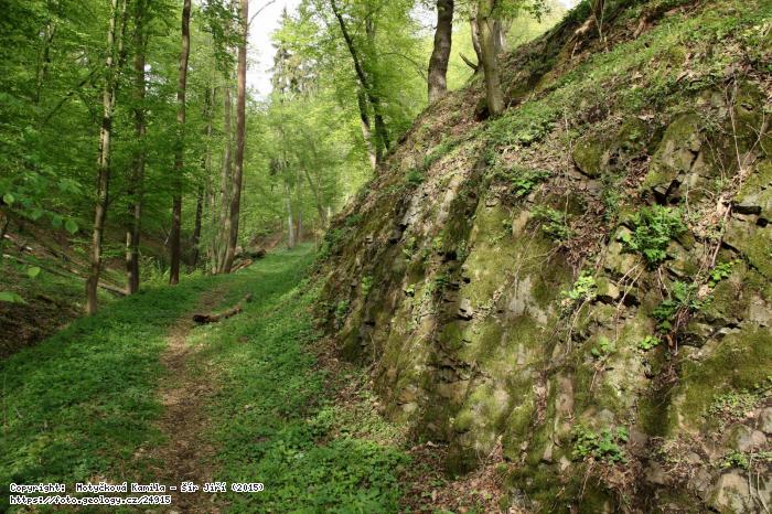 Fotografie Tov: Tov, Tov