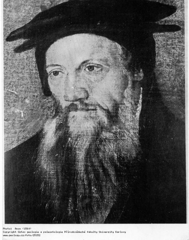 Fotografie Gessner, Konrad (1516-1565): Gessner, Konrad (Conrad) (1516-1565), 