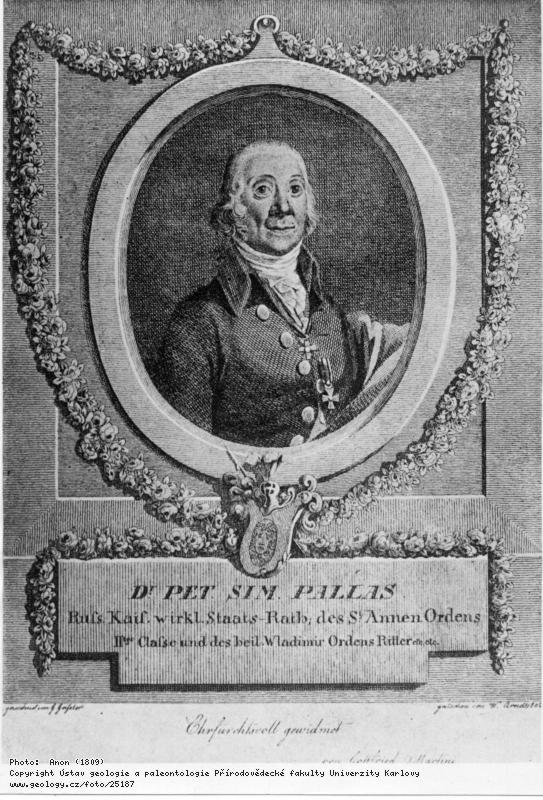Fotografie Pallas, Peter (1741-1811): Pallas, Peter Simon (1741-1811), 