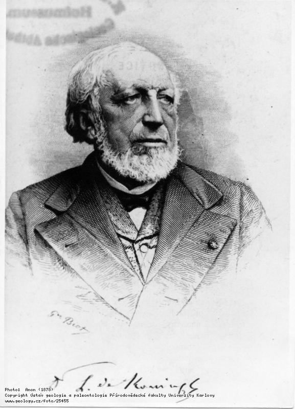 Fotografie Koninck, Laurent - Guillaume de (1809  1887): Koninck, Laurent - Guillaume de (1809  1887), 