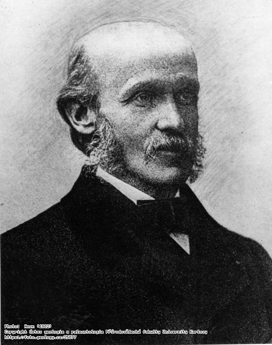 Fotografie Milne - Edwards, Alphonse (1835-1900): Milne, - Edwards, Alphonse (1835-1900), 