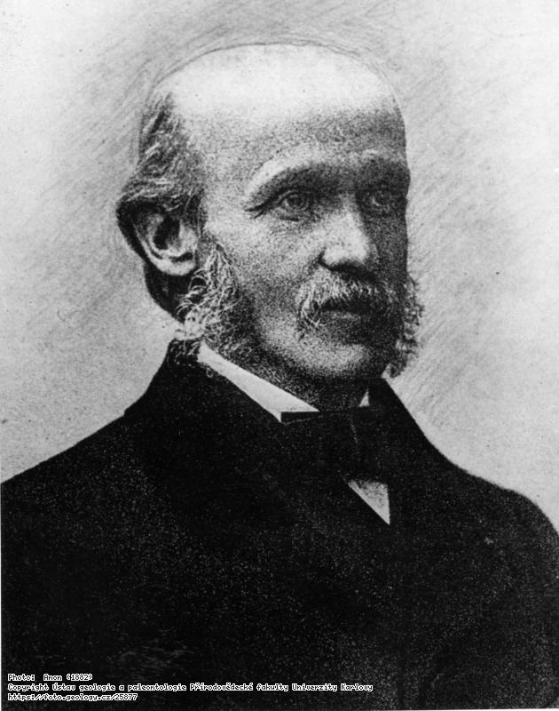 Fotografie Milne - Edwards, Alphonse (1835-1900): Milne, - Edwards, Alphonse (1835-1900), 