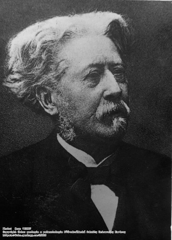 Fotografie Gaudry, Albert (1827-1908): Gaudry, Albert (1827-1908), 
