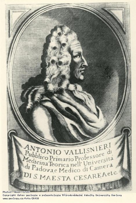 Fotografie Vallisnieri, Antonio (1661-1730): Vallisnieri, Antonio (1661-1730), 
