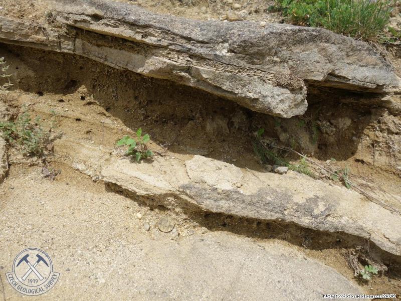 Fotografie L�e�, Hochmanova ulice: L�e�, Hochmanova ulice, L�e�, Hochmanova ulice