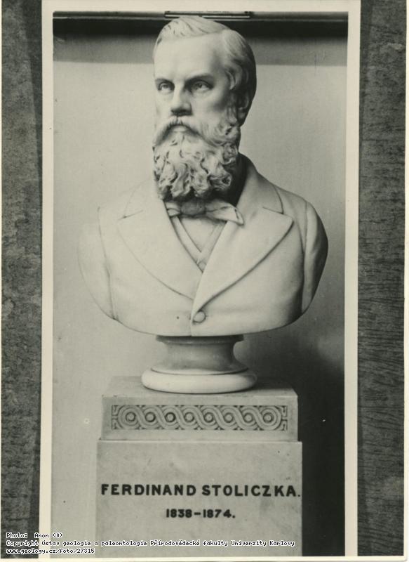Fotografie Stoliczka, Ferdinand (1838-1874): Busta Ferdinanda Stoliczky, 