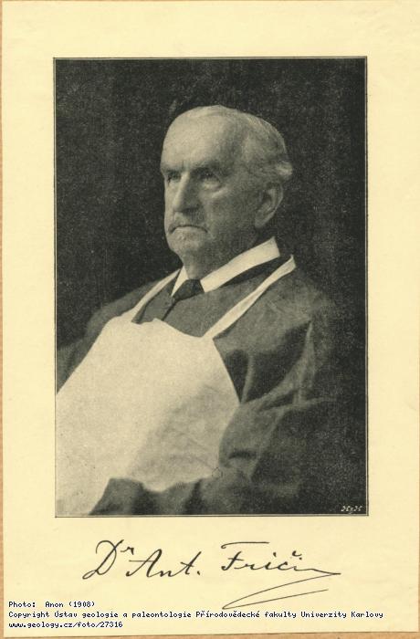 Fotografie Fri, Antonn (1832-1913): Fri, Antonn (1832-1913), 