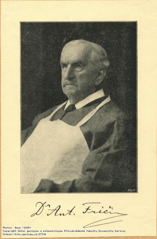 Fotografie Fri�, Anton�n (1832-1913): Fri�, Anton�n (1832-1913), 