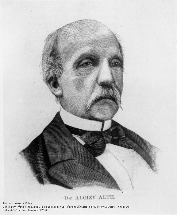 Fotografie Alth, Alojzy (1819-1886): Alth, Alojzy (1819-1886), 
