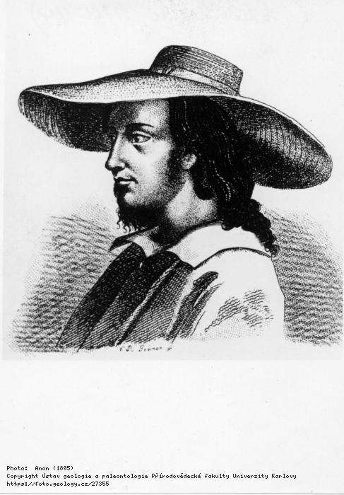 Fotografie Haenke, Tade (1761-1817): Haenke, Tade (1761-1817), 