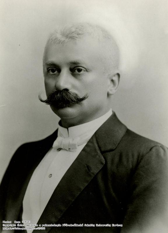Fotografie Ml�dek, Erich (1857-1926): Ml�dek, Erich (1857-1926), 