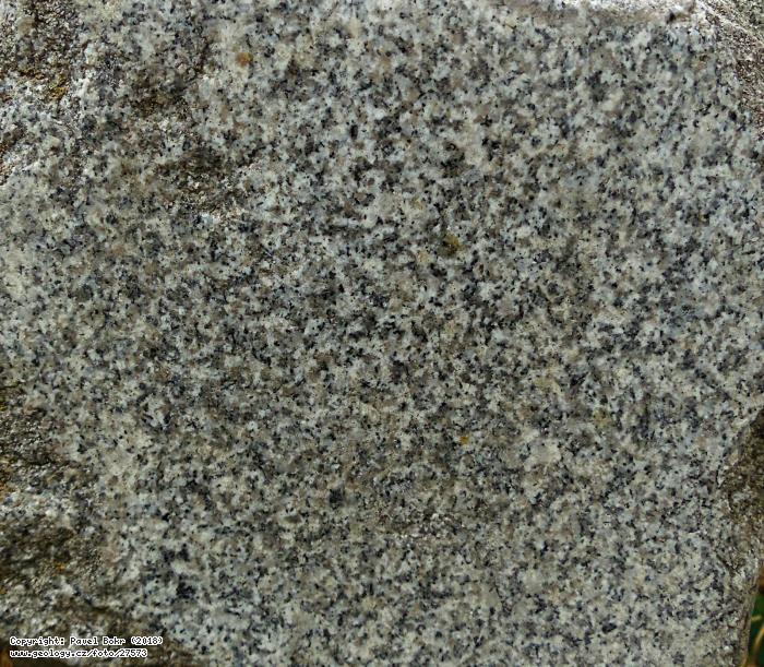 Fotografie ula (granit): ula (granit), ulov v Jesenkch