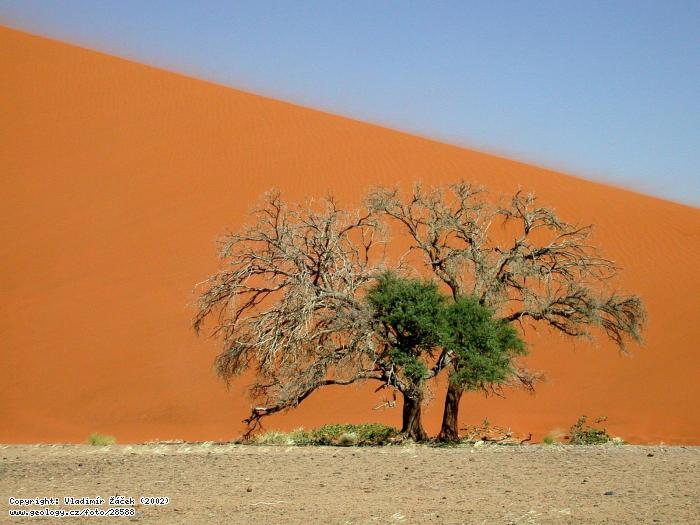 Fotografie Sossusvlei: Pou Namib u Sossusvlei, 