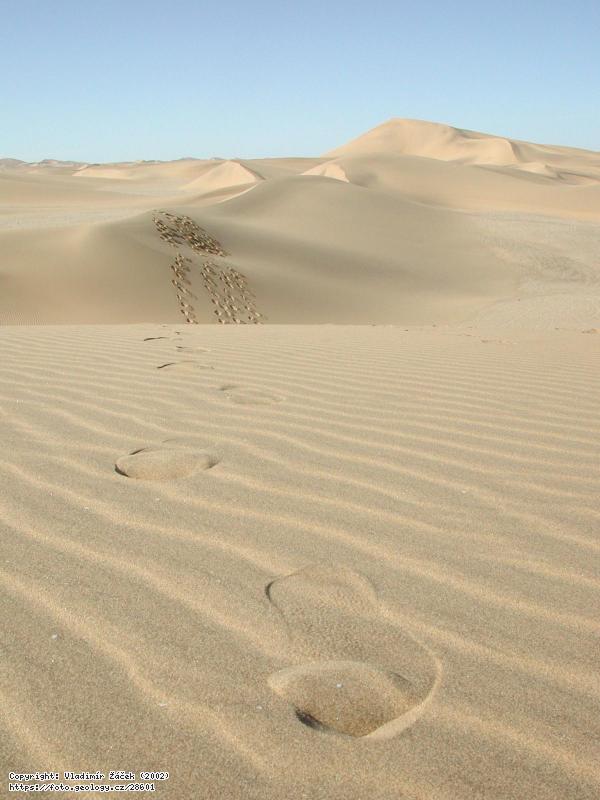 Fotografie Pou�� Namib: Pou�� Namib v okol� Svakopmundu v Nam�bii, 