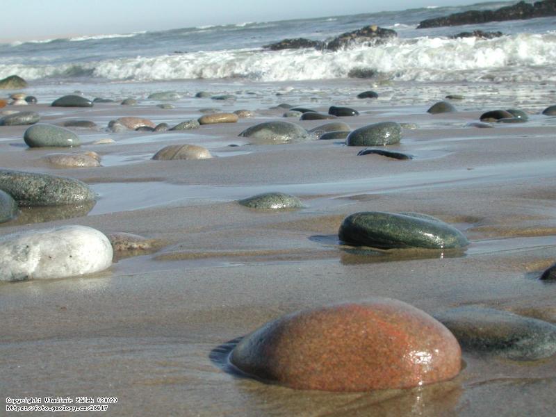 Fotografie Pou�� Namib: Pou�� Namib v okol� Svakopmundu v Nam�bii, 