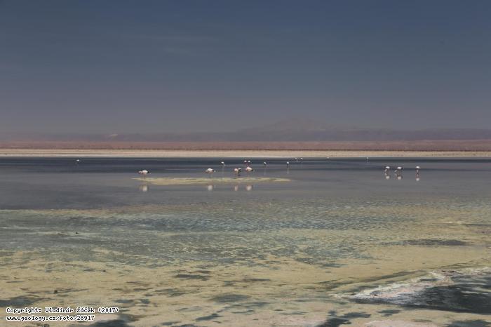 Fotografie Salar de Atacama: Soln jezero Salar de Atacama v Chile, 