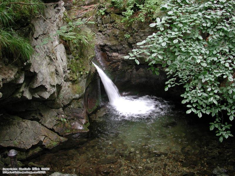 Fotografie Nznerovsk vodopdy: Nznerovsk vodopdy v Rychlebskch horch, 
