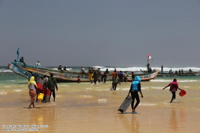Fotografie Rybi v Dakaru: Rybi v Dakaru v Senegalu, 