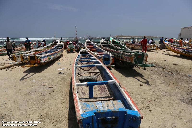 FOTO Rybáři v Dakaru: Rybáři v Dakaru v Senegalu, Fotografie Rybáři v Dakaru: Rybáři v Dakaru v Senegalu,