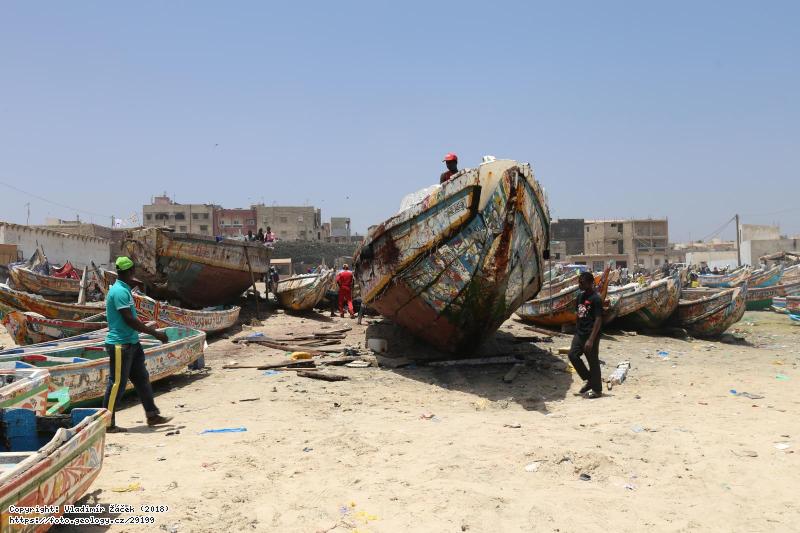FOTO Rybáři v Dakaru: Rybáři v Dakaru v Senegalu, Fotografie Rybáři v Dakaru: Rybáři v Dakaru v Senegalu,