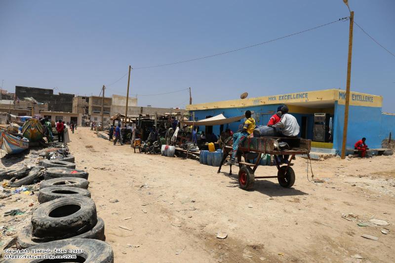 FOTO Rybáři v Dakaru: Rybáři v Dakaru v Senegalu, Fotografie Rybáři v Dakaru: Rybáři v Dakaru v Senegalu,