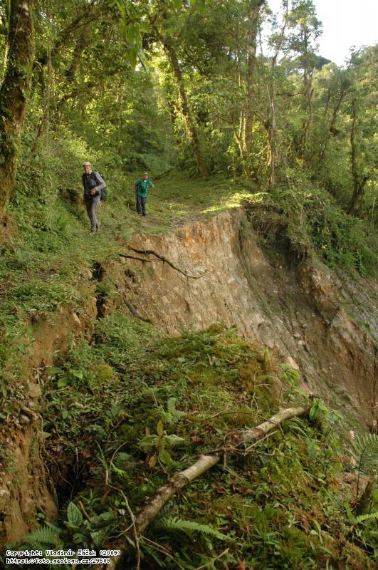 FOTO V mlžném pralese Monteverde v Kostarice: Geologické mapování v mlžném pralese Monteverde v Kostarice, Fotografie V mlžném pralese Monteverde v Kostarice: Geologické mapování v mlžném pralese Monteverde v Kostarice,