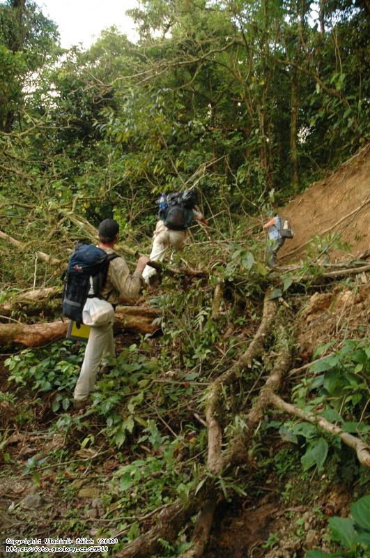 FOTO V mlžném pralese Monteverde v Kostarice: Geologické mapování v mlžném pralese Monteverde v Kostarice, Fotografie V mlžném pralese Monteverde v Kostarice: Geologické mapování v mlžném pralese Monteverde v Kostarice,